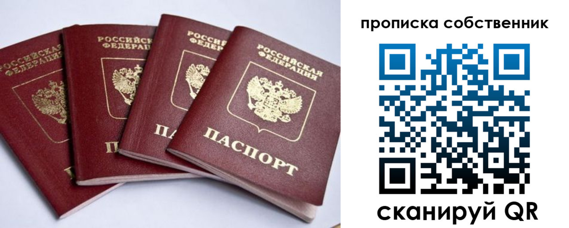 прописка для школы в Зернограде