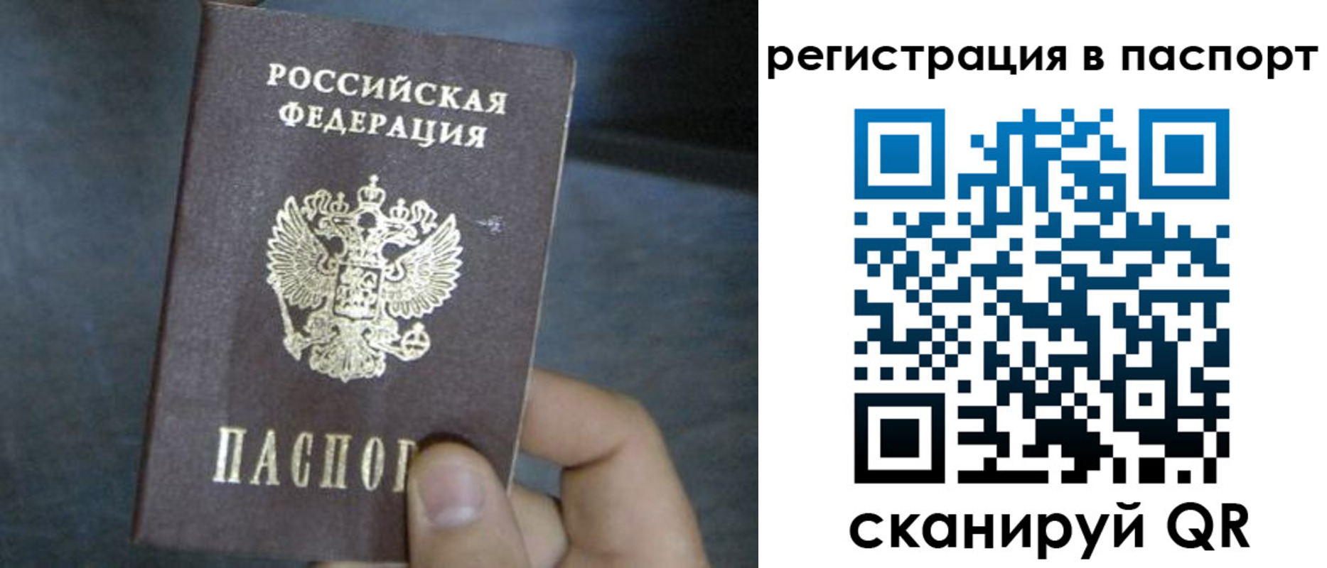 прописка 2025 в Зернограде